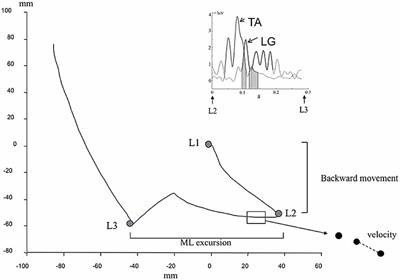 Electromyographic Pattern during Gait Initiation Differentiates Yoga Practitioners among Physically Active Older Subjects